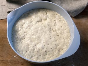 BasisTeig no need to knead, das Rezept für Brotback Einsteiger