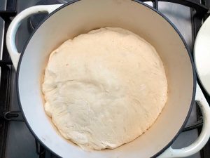 BasisTeig no need to knead, das Rezept für Brotback Einsteiger