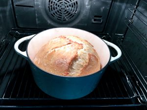 BasisTeig no need to knead, das Rezept für Brotback Einsteiger