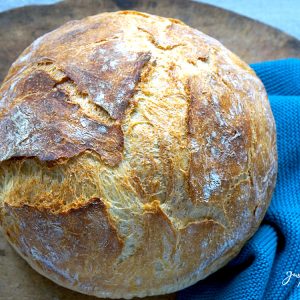 BasisTeig - das BrotRezept für BackeinsteigerBasisTeig