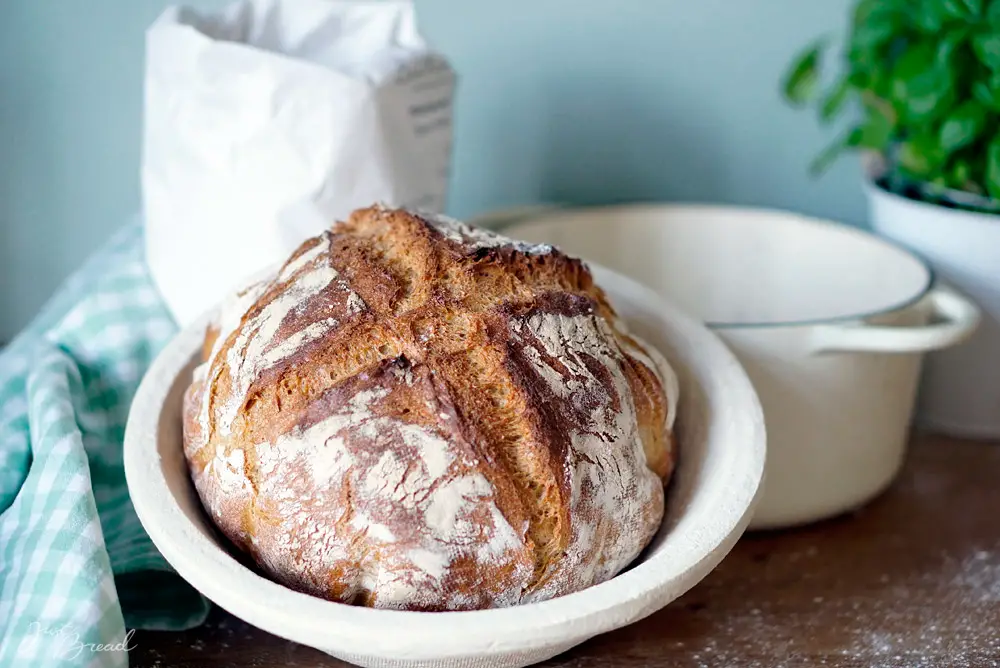 Landbrot mit krustiger Kruste und weicher Krume