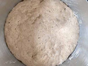 Landbrot no knead nach erste Gehphase