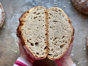 Knuspriges, saftiges, dunkles Dinkelbrot, nach einer Woche Lagerung im Kühlschrank mit dem Kühlschrankteig gebacken