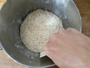 No knead Dinkel Brötchen