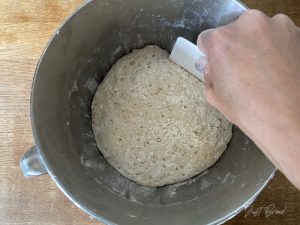 No knead Dinkel Brötchen