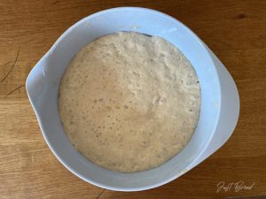 Dinkel Fladenbrot no knead