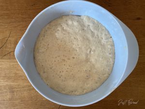 Dinkelfladenbrot no knead