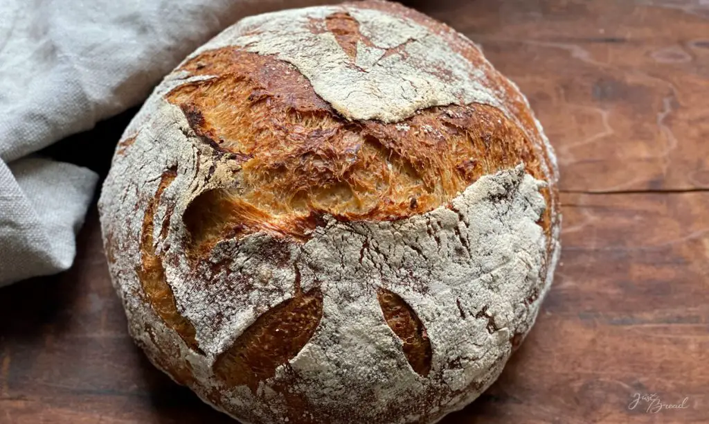 Kartoffelbrot, wattige Krume und aromatische Kruste