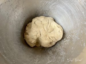 AutolyseTeig für das SaatenBrot