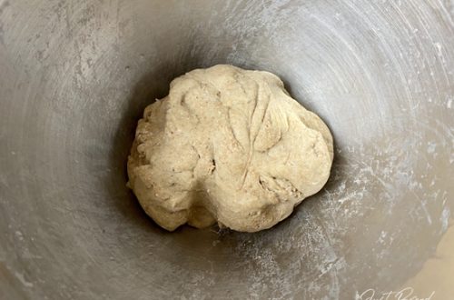 AutolyseTeig für das SaatenBrot