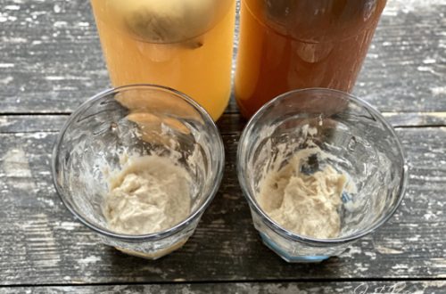 Hefewasser Reifetest