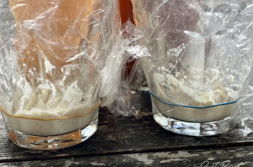 Hefewasser Reifetest