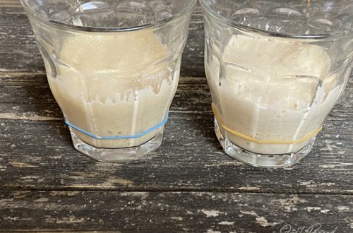 Hefewasser Reifetest