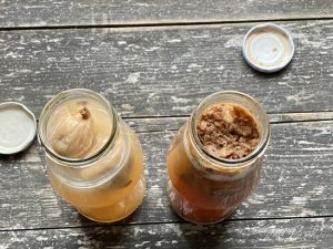 Hefewasser Reifeprozess Tag 5