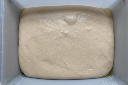 HefewasserBrot nach der Stockgare