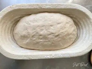 Teigling in Gärkörbchen