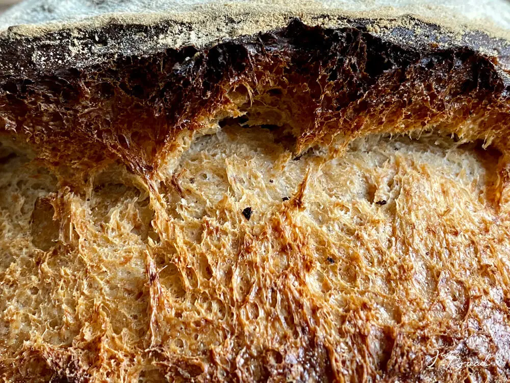 HefewasserBrot mit schöner, röscher Kruste