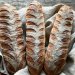 Brotstangen mit Fischgrätmuster zum WorldBreadDay