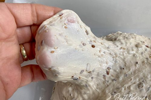 Fenstertest des Hauptteiges für die Dinkel-Körnerbrötchen