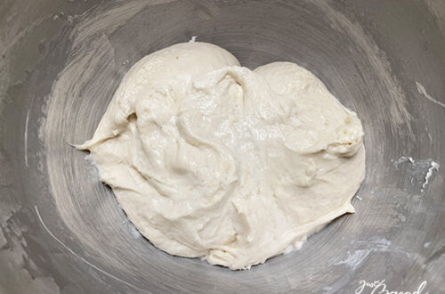 Fertig gekneteter Hauptteig