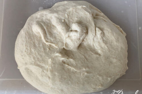 Teig am Anfang der Stockgare