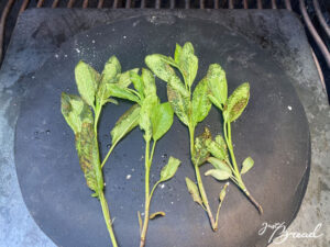 Salbei mit Öl auf einer Grillmatte backen