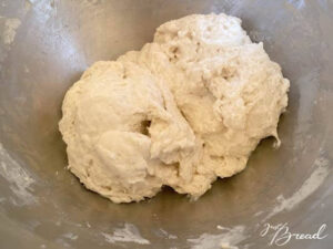 Fermentolyseteig