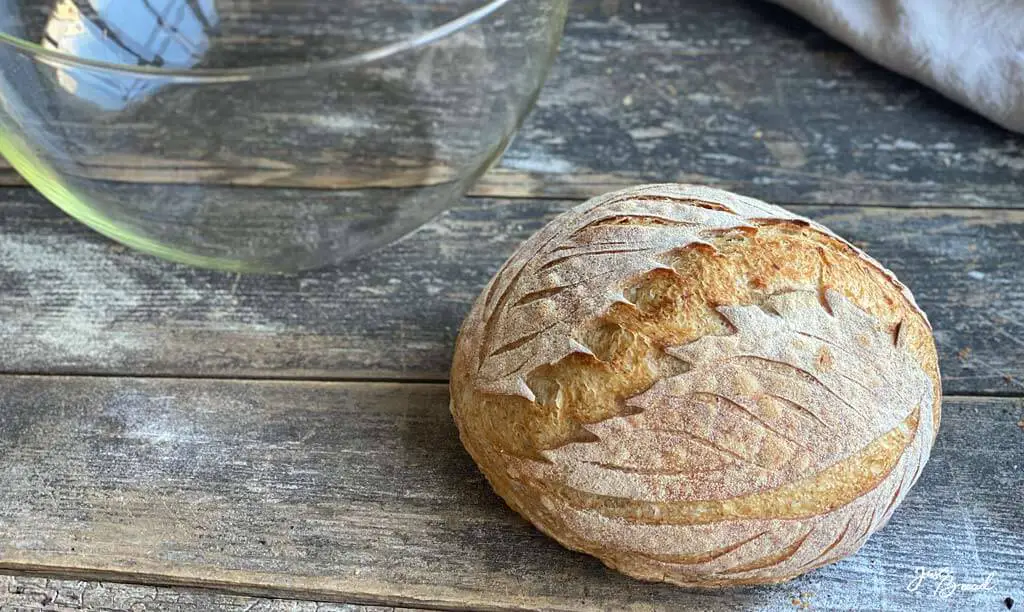 Backen mit einer ofenfesten Glasschüssel: ideale Bedingungen - ohne Schwaden