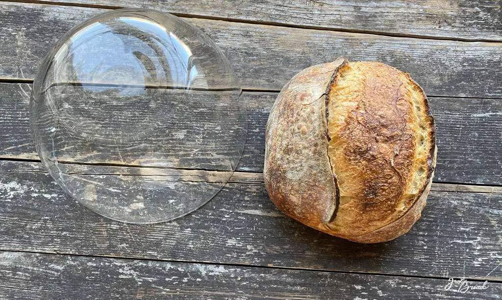 Backen mit einer ofenfesten Glasschüssel: ideale Bedingungen - ohne Schwaden