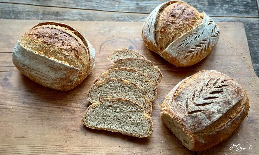 Granoferm-Brot-Rezept mit zwei Varainten