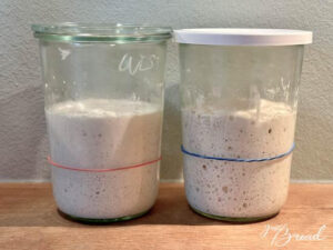 Toast mit Vorteig - Reifer Poolish und reifer Weizensauerteig