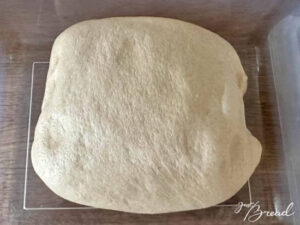Toast mit Vorteig - fertig gegangener Teig