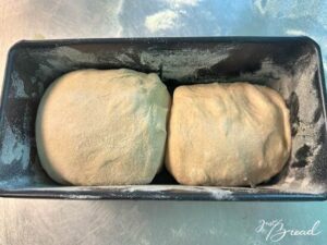 Toast mit Vorteig, Hefevorteig (Poolish)