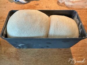 Toast mit Vorteig, Hefevorteig (Poolish)