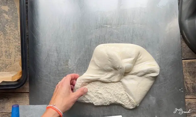 Focaccia - Rezept aus dem Buch: Keine Zeit zum Brot backen?