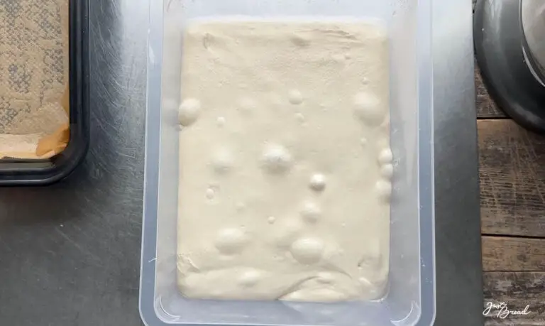 Focaccia - Rezept aus dem Buch: Keine Zeit zum Brot backen?