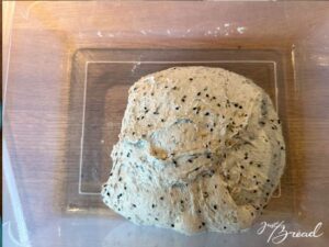 Teig am Anfang der Stockgare