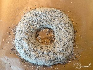 Ring fertig geformt