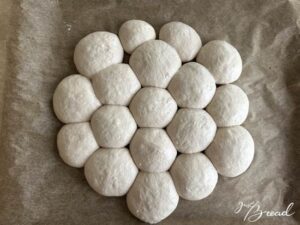 Teig in kleine Brötchen formen und kreisförmig anordnen