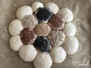 Blumenbrot, Teigling mit Öl oder Wassr befeuchten und mit Saaten bestreuen