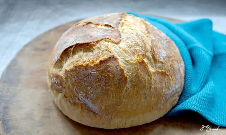 Der BasisTeig. Das einfache Brot-Rezept, bestens geeignet für Anfänger und das Backen im Alltag.
