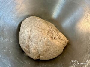 Teig nach dem Kneten. Weizenvollkornbrot mit dem BasisTeig