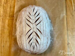 Einschneiden des Brotes für ein gezieltes Aufreißen der Kruste. Wer mag, kann durch ein Scoring noch sein Brot verzieren.