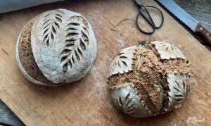 Saftiges Sauerteigbrot mit Saaten – gebacken mit 2-stufig geführtem Roggensauerteig für intensives Aroma und lange Frischhaltung. Knusprige Kruste, lockere Krume mit Sonnenblumenkernen, Sesam und Leinsamen. Perfekt als Pausenbrot, Sandwich oder Beilagenbrot. Ideal für eine ausgewogene Ernährung mit Vollkorn und gesunden Saaten.
