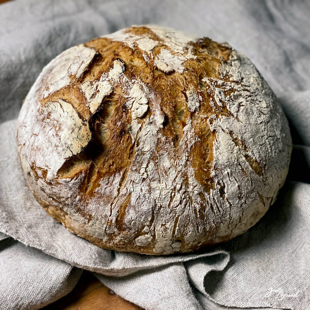 Körnerbrot aus dem Topf, Fitnessbrot