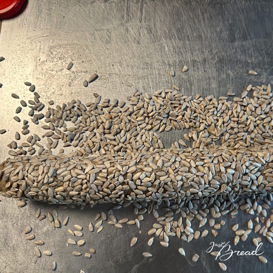 Oberfläche befeuchten und mit Saaten ummanteln