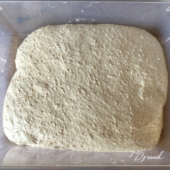 Teig Ende der Stockgare für Weizenschrotbrötchen.