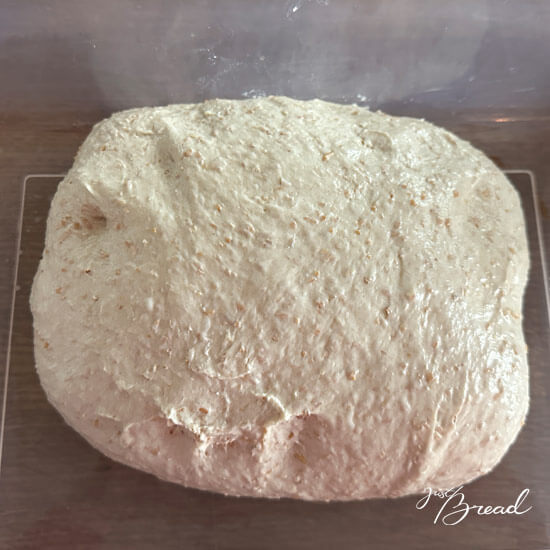 Fertig gekneteter Hauptteig für Weizenschrotbrötchen.