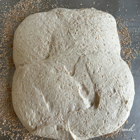 Teig für Weizenschrotbrötchen auf eine mit Weizenschrot bestreute Arbeitsfläche geben