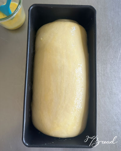 Gegangener Schoko-Croissant-Toast in der Kastenform kurz vor dem Backen, mit Eistreiche bestrichen.